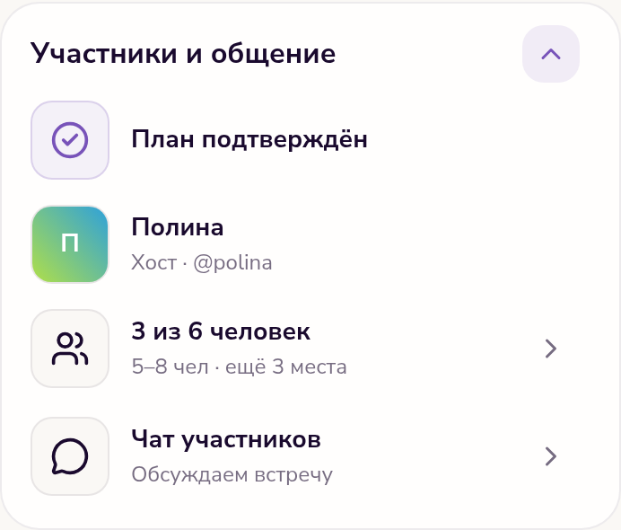 Участники и общение: подтверждённый план, хост Полина, 3 участника из 6 и чат встречи.